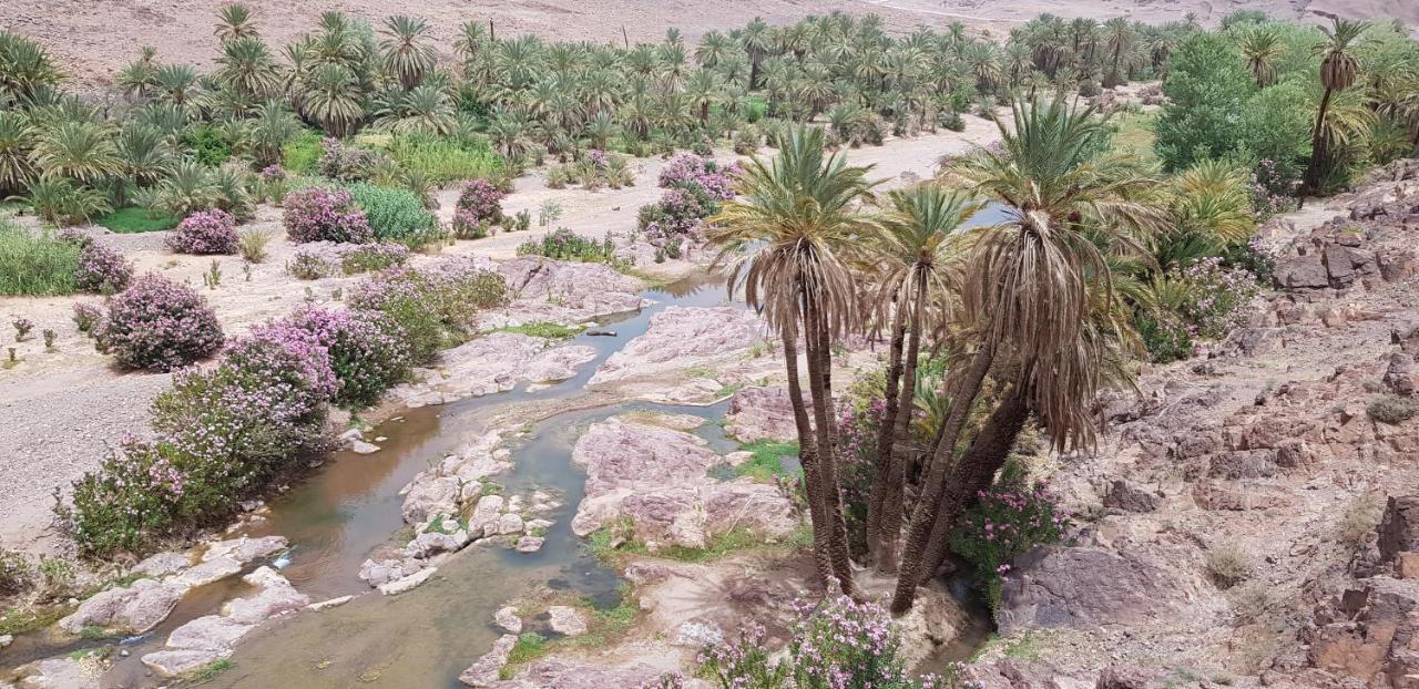 Bivouac Des Aigles Couette-café Ouarzazate