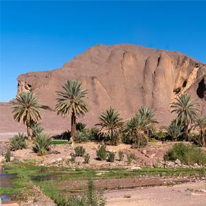 Couette-café Bivouac Des Aigles Ouarzazate